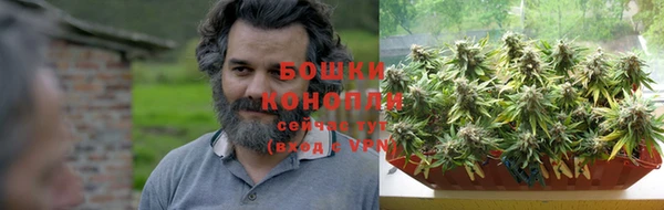 стаф Магас