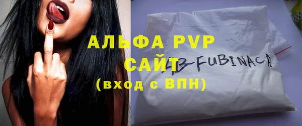 стаф Магас