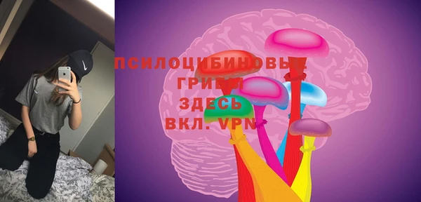 бутират Медногорск