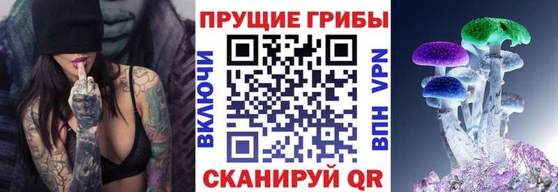 Купить закладки  Кириши  Псилоцибиновые грибы Cubensis 